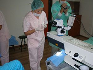 Ama-Optimex-Mel-70-4